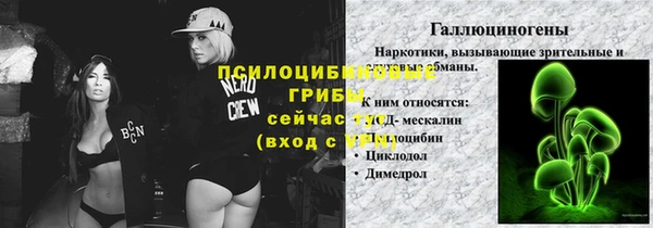 соль ск Абаза