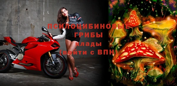 соль ск Абаза