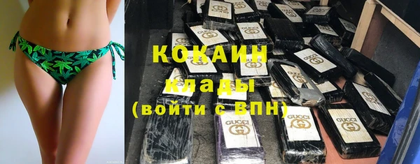 соль ск Абаза
