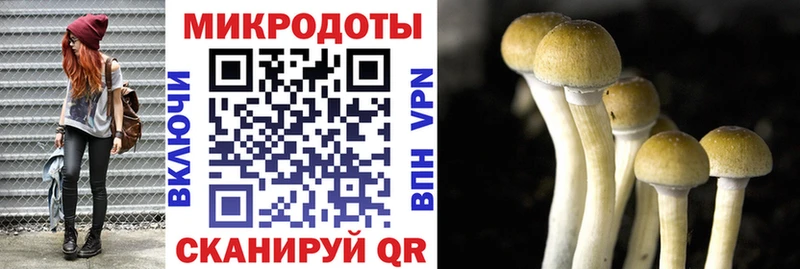 кракен рабочий сайт  Фёдоровский  Псилоцибиновые грибы Magic Shrooms  закладки 